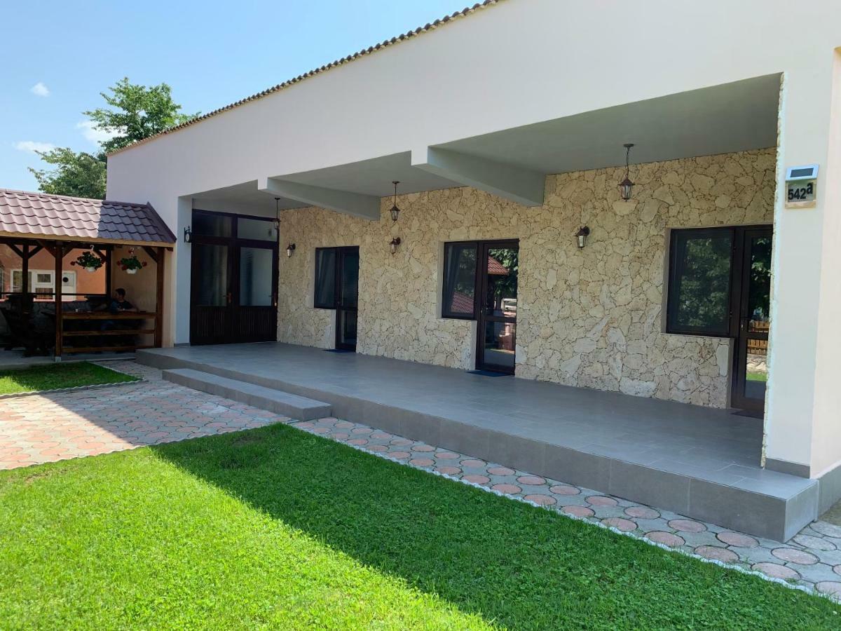 Casa Roka Apartment Eselnita Exterior photo